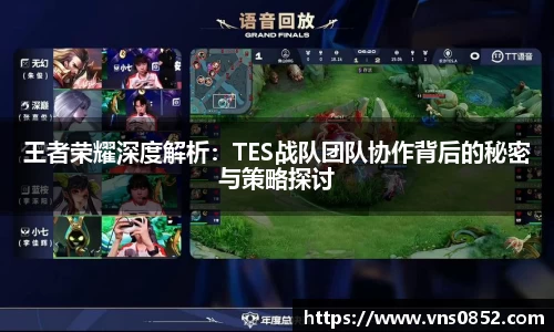 王者荣耀深度解析：TES战队团队协作背后的秘密与策略探讨